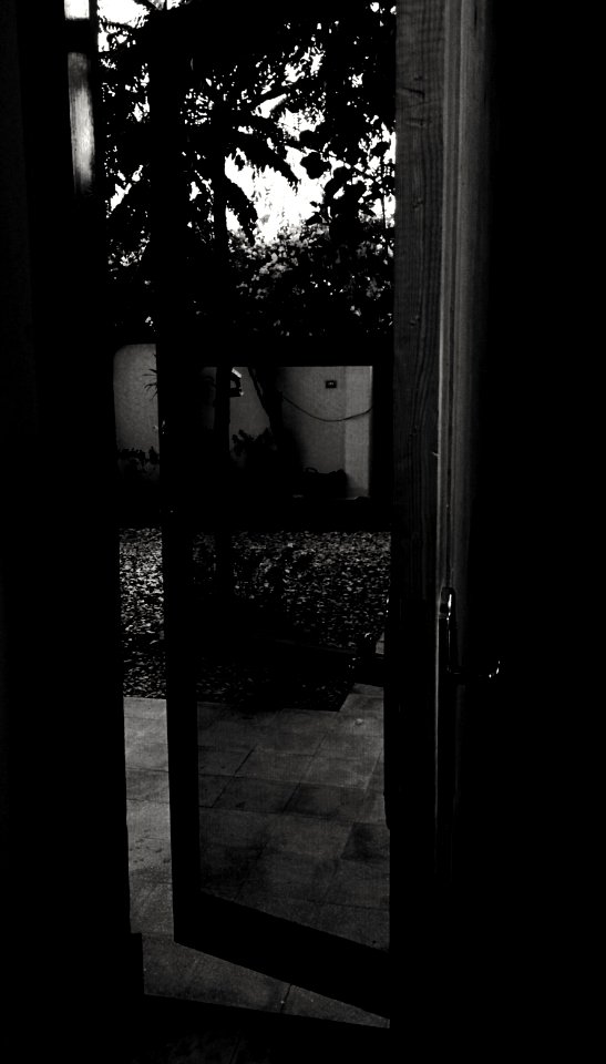 2016_02_20