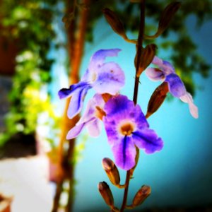Capturing Fragility