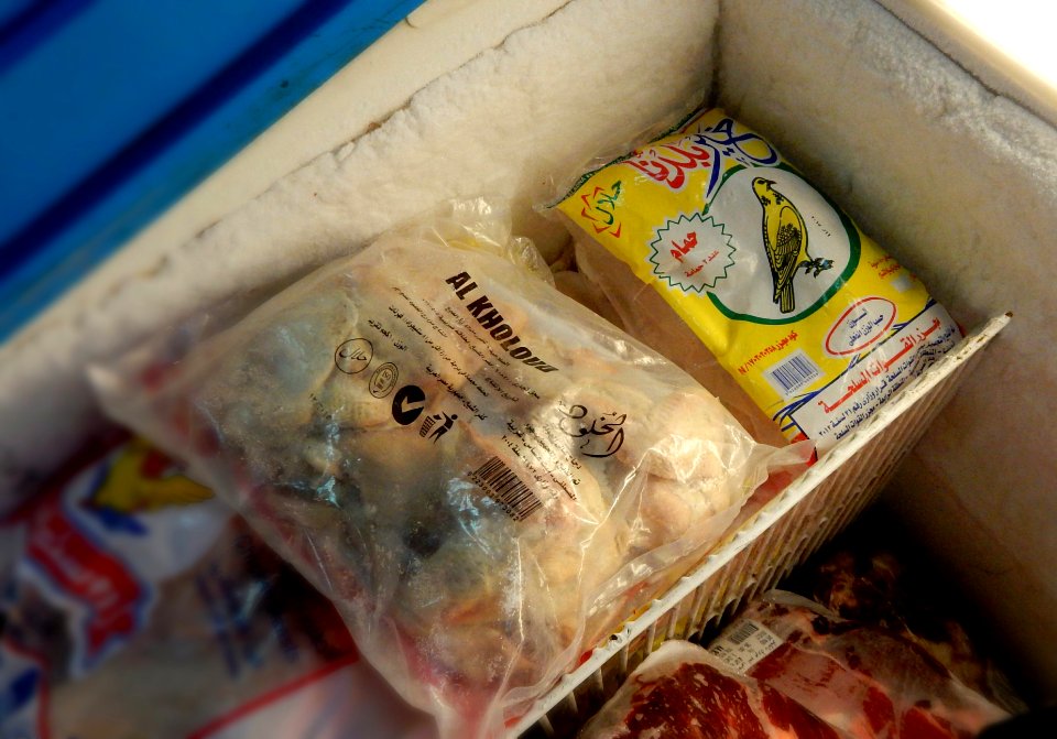 Frozen Pigeon, Not Canary