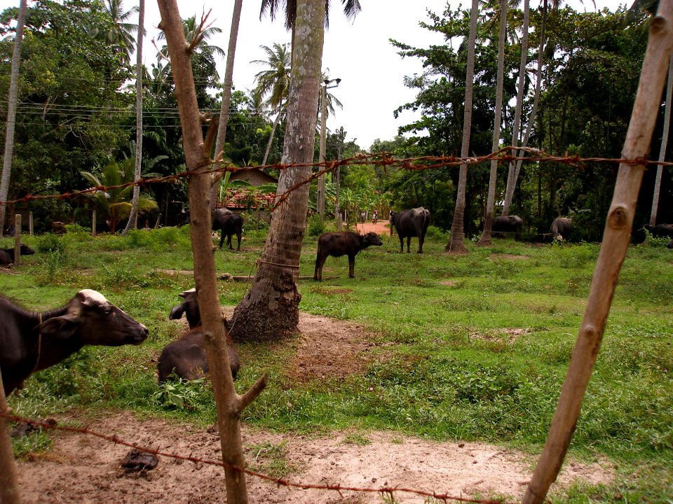 2006_09_18 (Blogged)