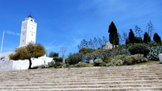 Sidi Bou Said by Train