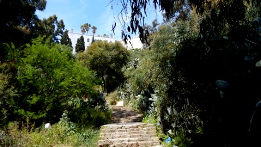 Sidi Bou Said by Train