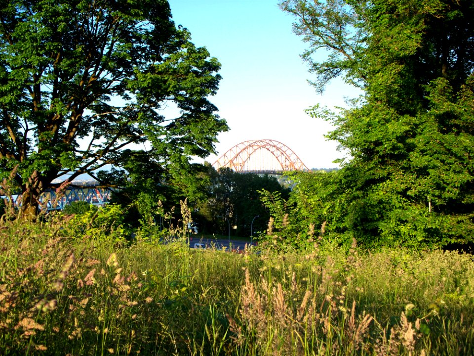 Patullo Bridge