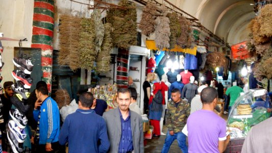 Final Day in Tunis