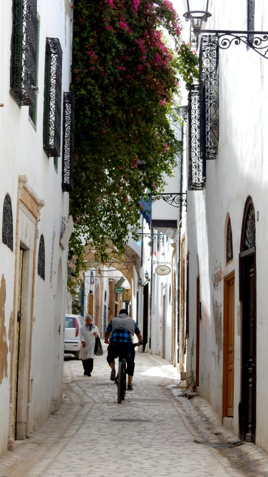 Final Day in Tunis