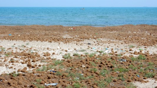 A Sunday in Tunisia