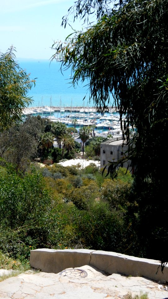 Sidi Bou Said by Train
