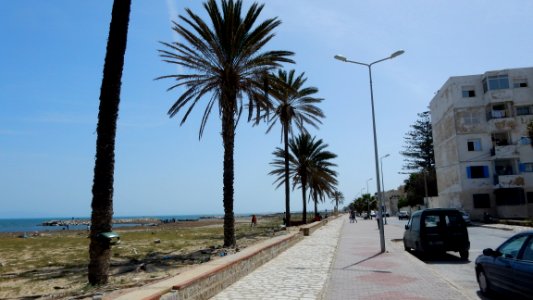 A Sunday in Tunisia