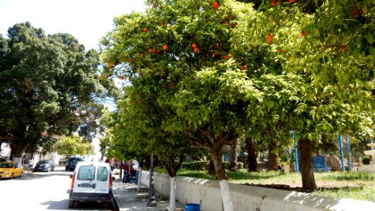 Sidi Bou Said by Train