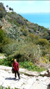 Sidi Bou Said by Train