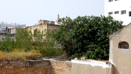 Final Day in Tunis