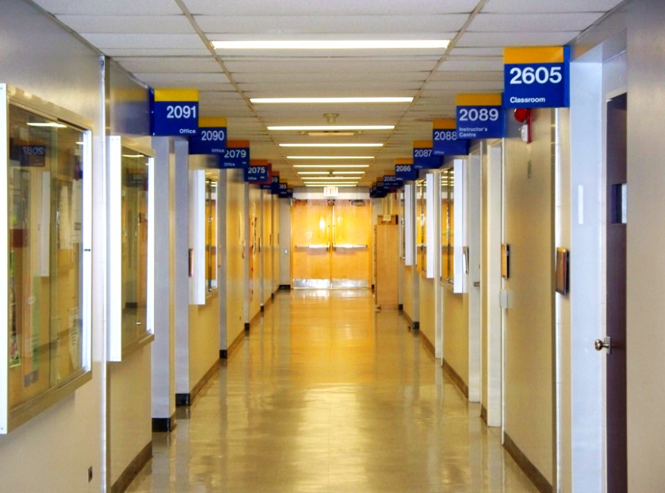 2008_07_15