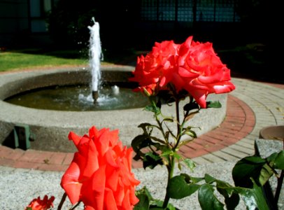 2008_07_16