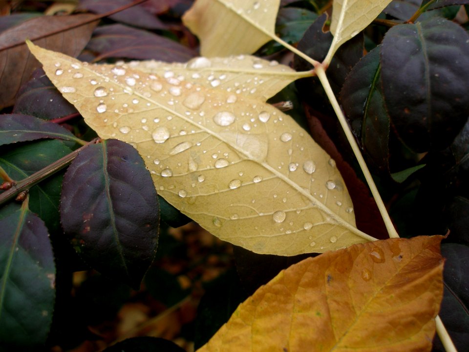 2006_10_17