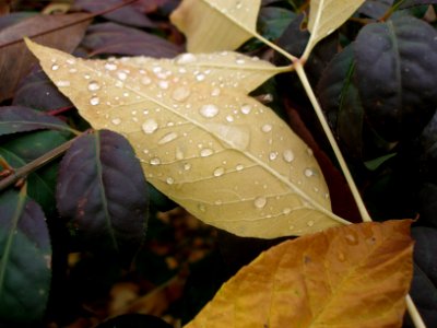 2006_10_17