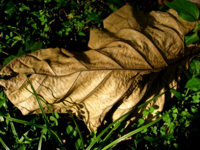 2006_09_22 004