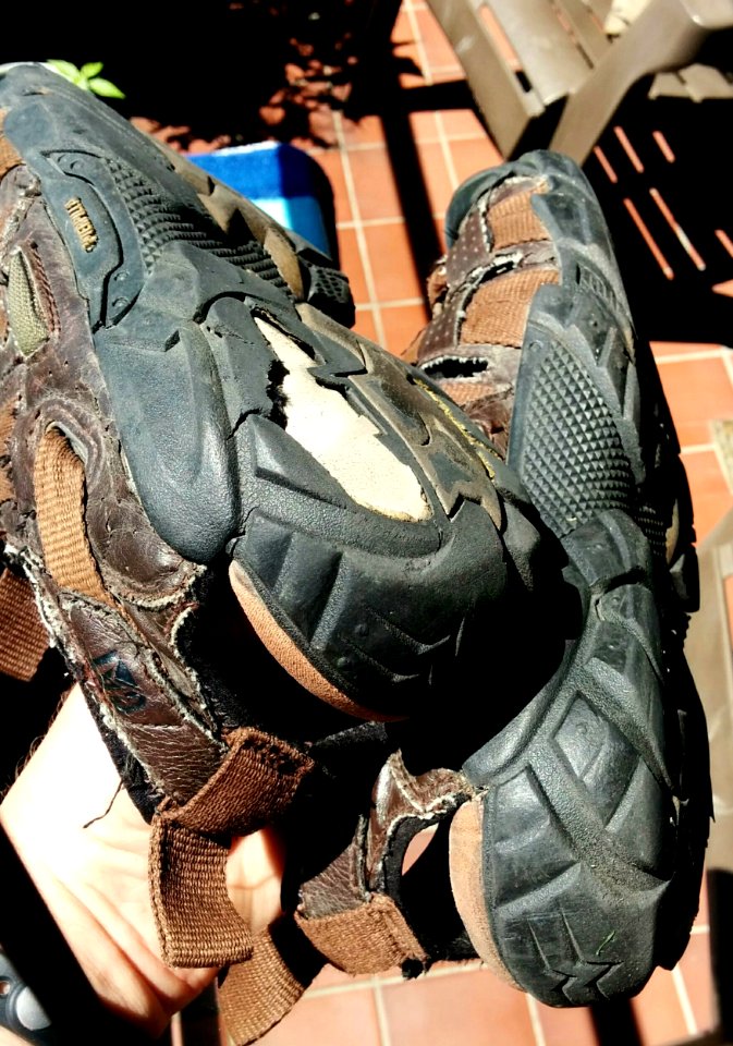 My Old Catipullars