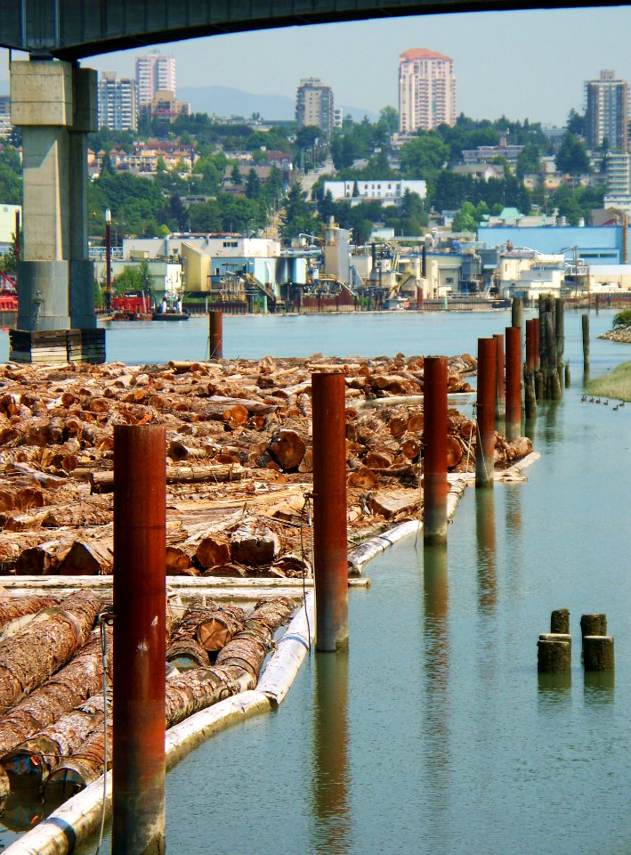 The Fraser in New Westminster photo