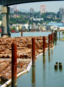 The Fraser in New Westminster photo