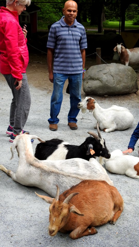 Petting Zoo Opens
