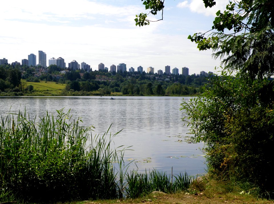 Metrotown on the Hill