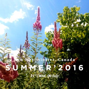 2016_07_06