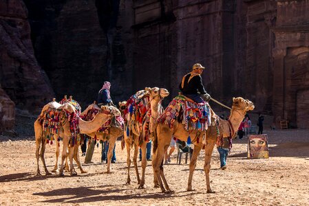 Dromedary desert people photo