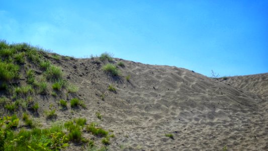 Fraser Surrey Docks Dunes