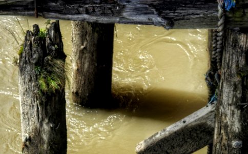 Pier Rot
