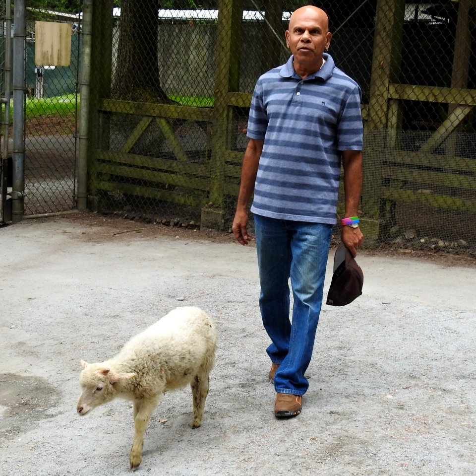 Petting Zoo Opens