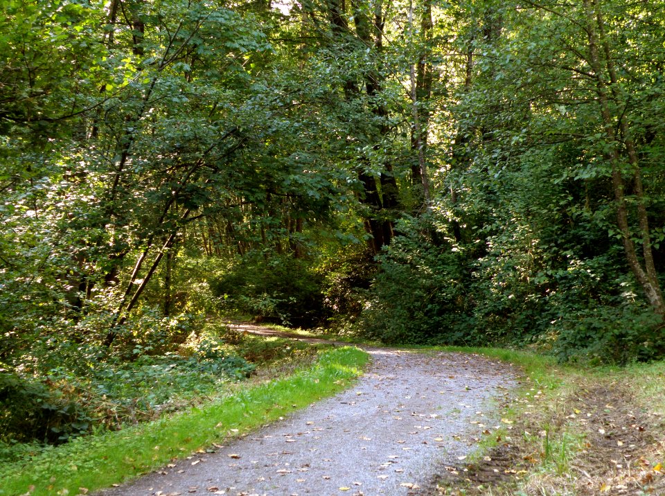 City Park, Ravine 1/2
