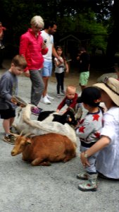 Petting Zoo Opens