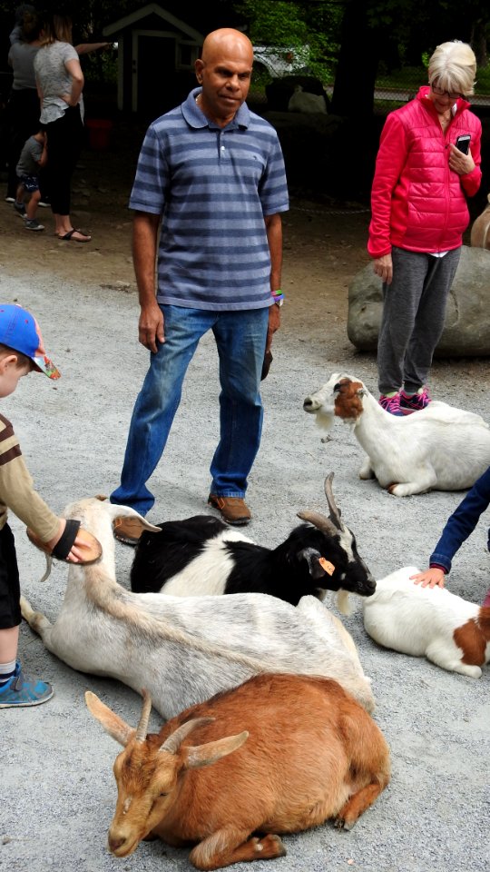 Petting Zoo Opens