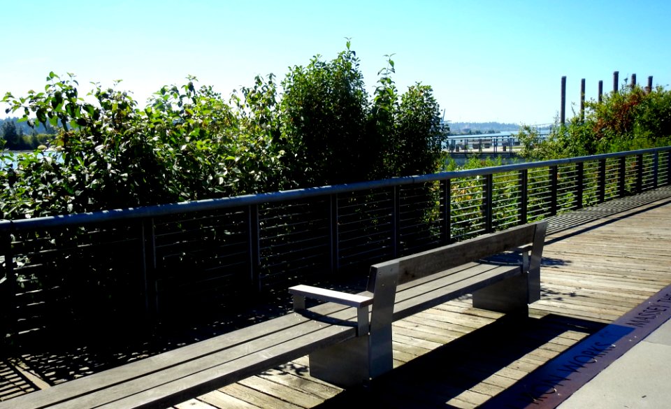 Bench With No View