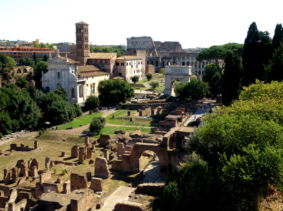 The Roman Forum Area 8