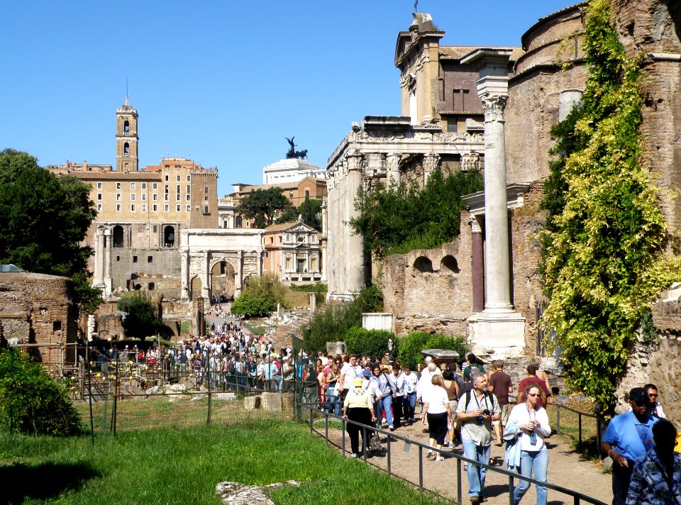 The Roman Forum Area 11
