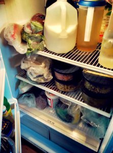 The Fridge