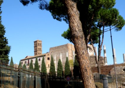 The Roman Forum Area 6