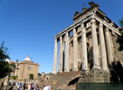 The Roman Forum Area 12