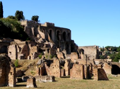 The Roman Forum Area 10