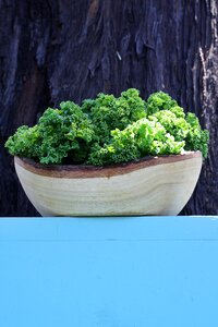 Green nature healthy