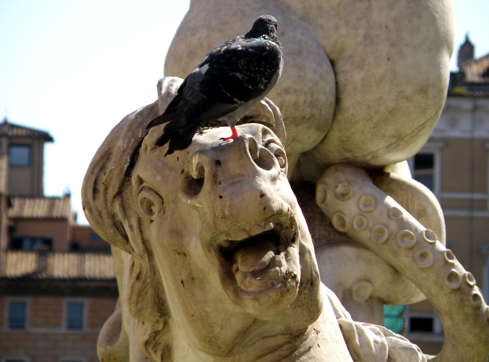 Piazza Navona 3