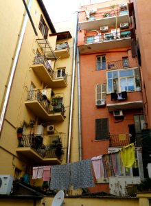 View Out the Back