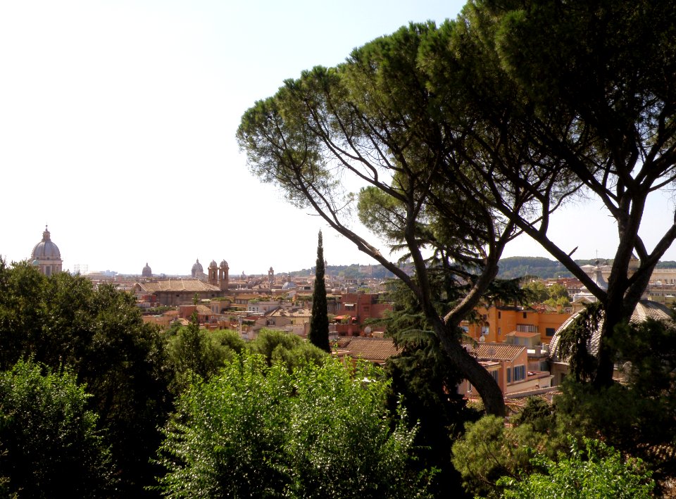 Piazza del Popolo 4