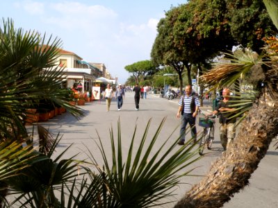 Viareggio 3