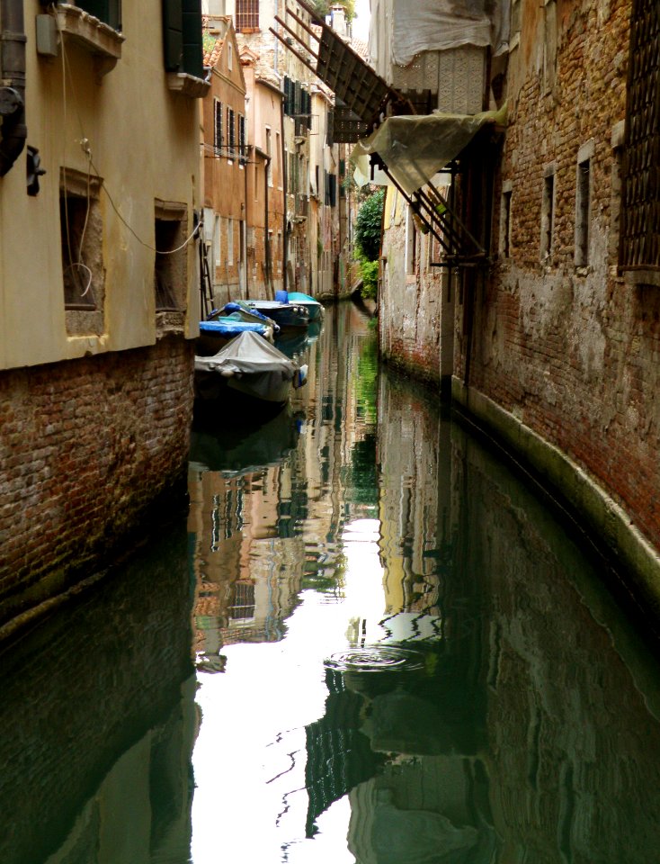 Evening in Venice 6