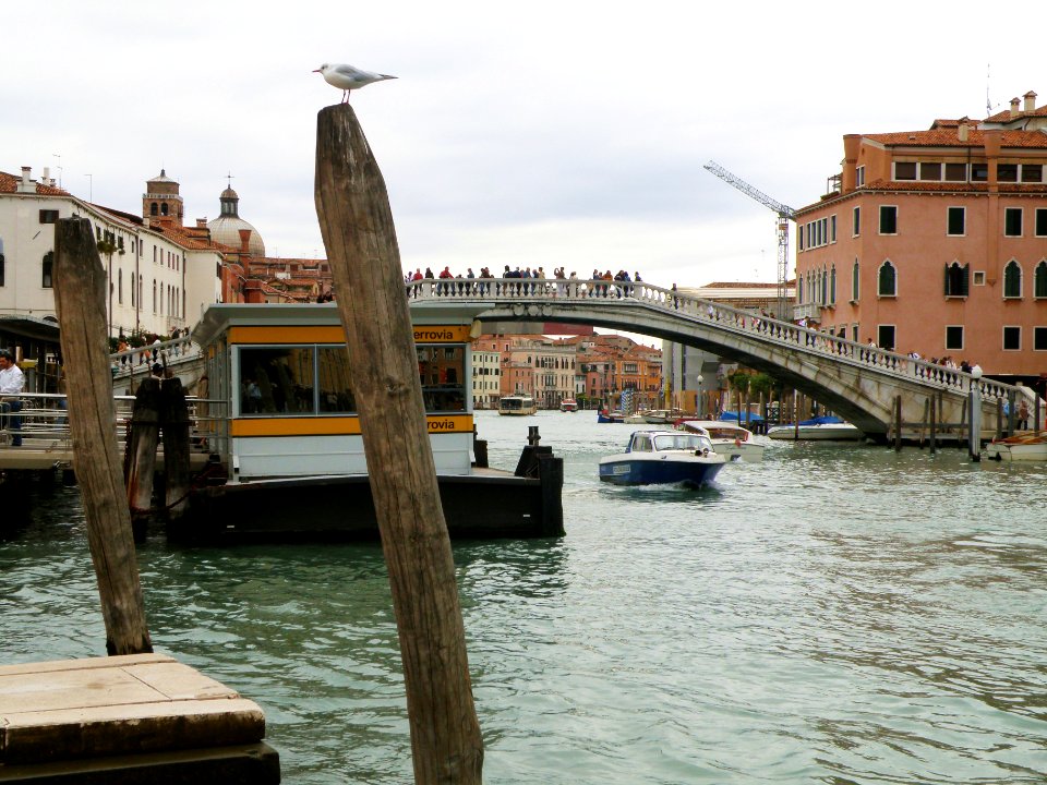 Evening in Venice 2