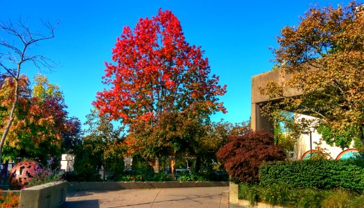 NWPL in the Fall