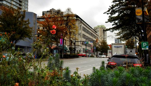 Columbia St. In October