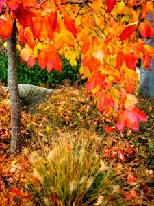 2016_10_20